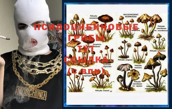 MESCALINE Белоозёрский