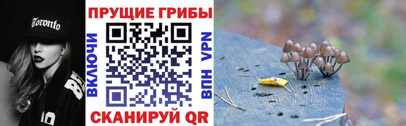 сколько стоит  мега маркетплейс  мориарти как зайти  Краснослободск  Псилоцибиновые грибы GOLDEN TEACHER 